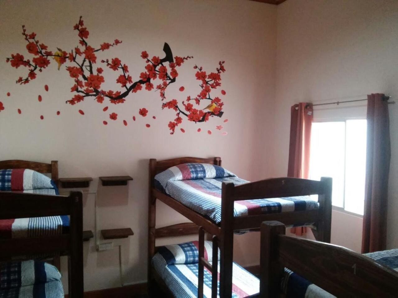 Posada Del Gaucho Hostel Монтевидео Екстериор снимка